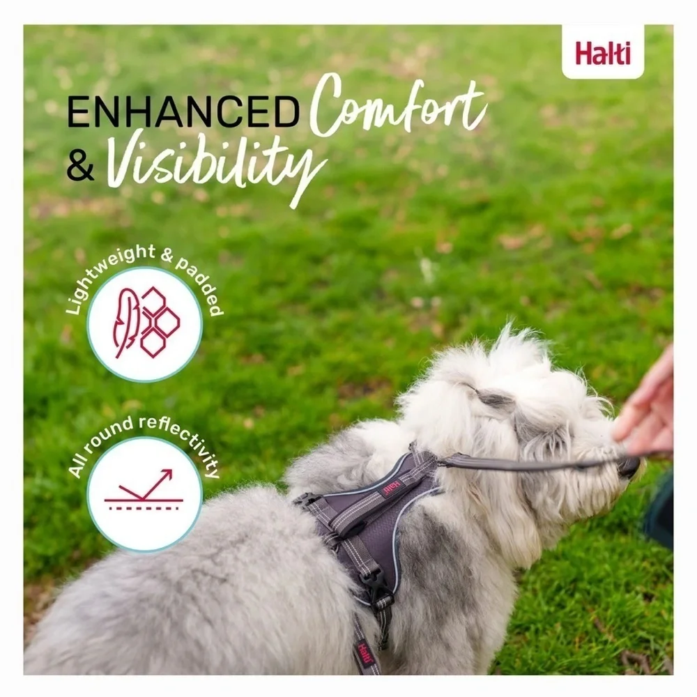 Halti Anatomy Reflective Dog Harness grey, Large: 23.5 to 33.5-in chest